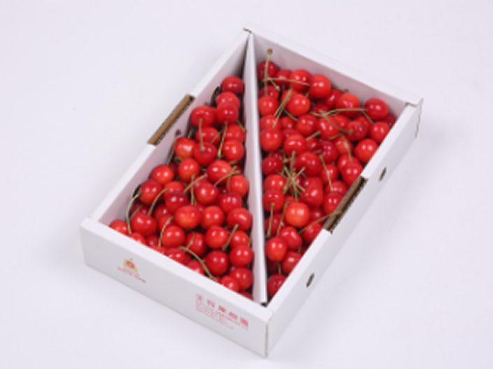 産地直送 山形県産さくらんぼ販売（500g・1kg）