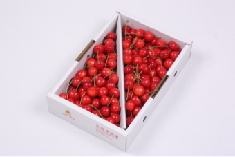 産地直送 山形県産さくらんぼ販売（500ｇ・1kg）