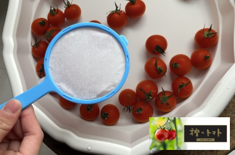 スーパートマトすくい