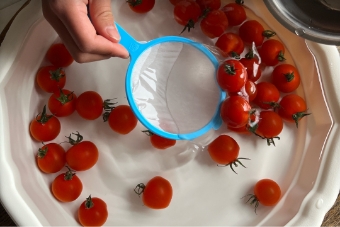 スーパートマトすくい